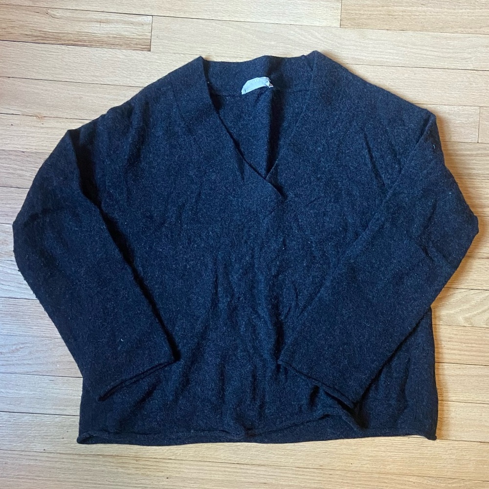 Everlane v neck sweater